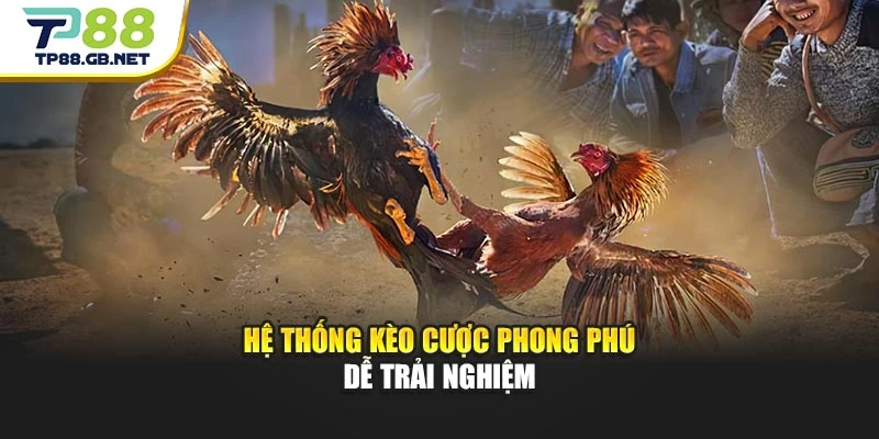 Hệ thống kèo cược phong phú dễ trải nghiệm