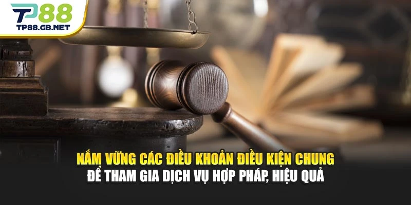 Nắm vững các điều khoản điều kiện chung để tham gia dịch vụ hợp pháp, hiệu quả